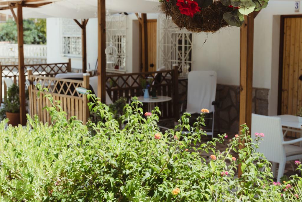 Apartamentos Casa Torres - Adults Only El Albir Εξωτερικό φωτογραφία